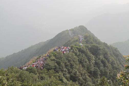 縱情山水，激蕩智慧——TANK007重陽節(jié)帶您一起登高梧桐山